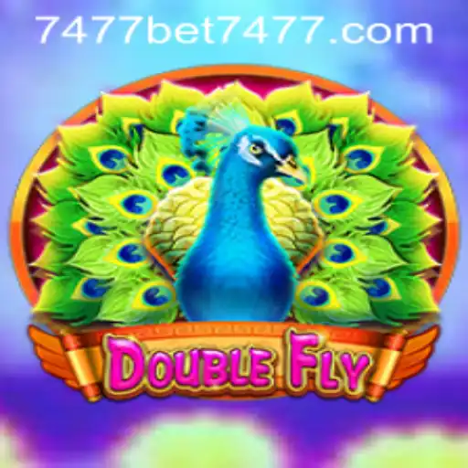 bet7477 PH Login Casino App